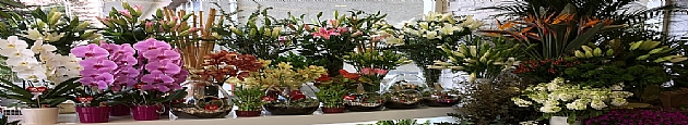 Sepetim �i�ek�ilik
